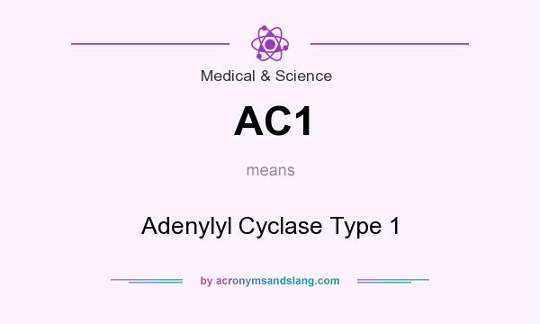 What does AC1 mean? It stands for Adenylyl Cyclase Type 1