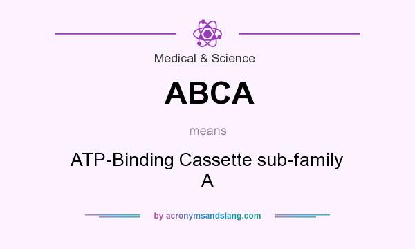 What does ABCA mean? It stands for ATP-Binding Cassette sub-family A