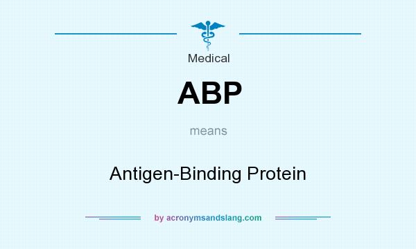 What does ABP mean? It stands for Antigen-Binding Protein
