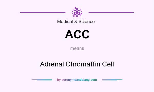 What does ACC mean? It stands for Adrenal Chromaffin Cell