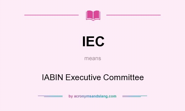 What does IEC mean? It stands for IABIN Executive Committee