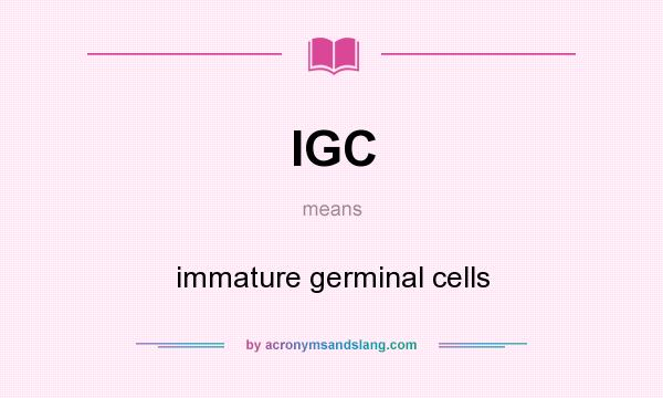 What does IGC mean? It stands for immature germinal cells