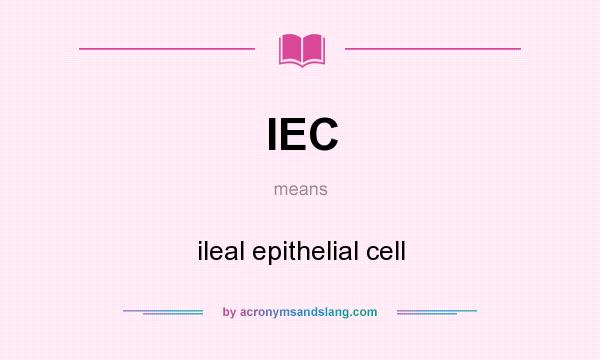 What does IEC mean? It stands for ileal epithelial cell