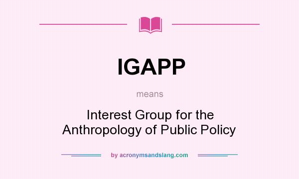 What does IGAPP mean? It stands for Interest Group for the Anthropology of Public Policy