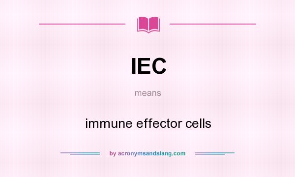 What does IEC mean? It stands for immune effector cells