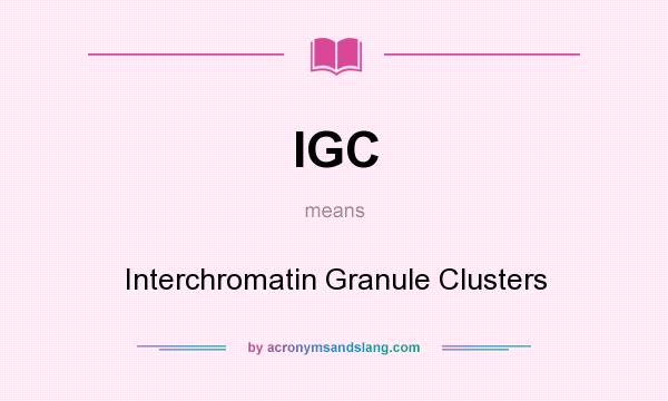 What does IGC mean? It stands for Interchromatin Granule Clusters