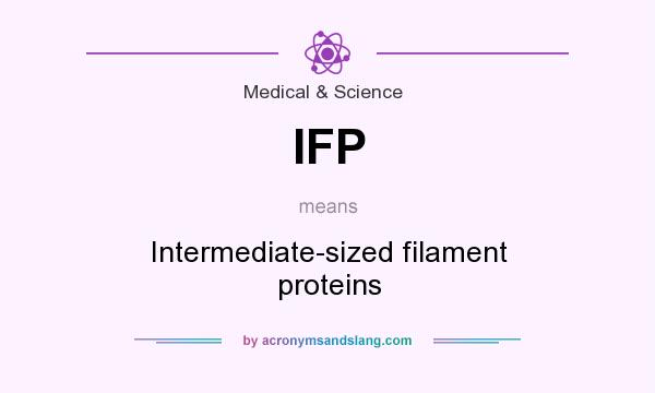 What does IFP mean? It stands for Intermediate-sized filament proteins