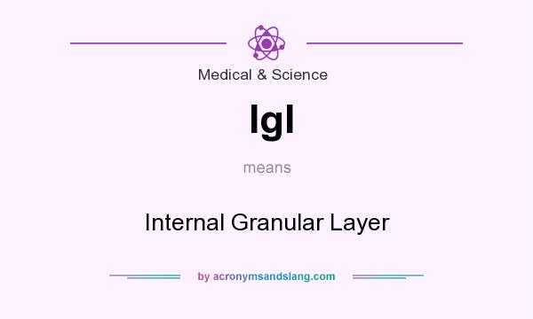 What does Igl mean? It stands for Internal Granular Layer