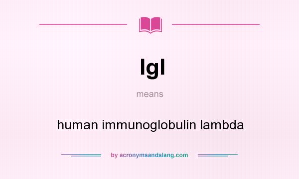 What does Igl mean? It stands for human immunoglobulin lambda