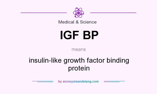 What does IGF BP mean? It stands for insulin-like growth factor binding protein