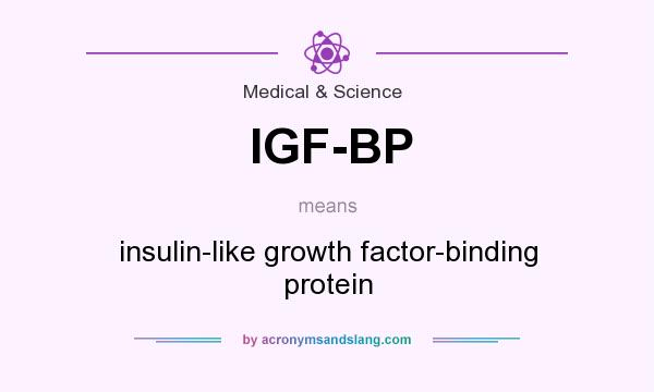 What does IGF-BP mean? It stands for insulin-like growth factor-binding protein