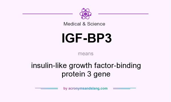 What does IGF-BP3 mean? It stands for insulin-like growth factor-binding protein 3 gene
