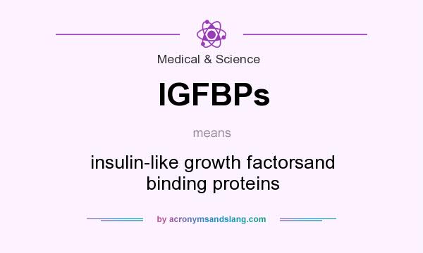 What does IGFBPs mean? It stands for insulin-like growth factorsand binding proteins