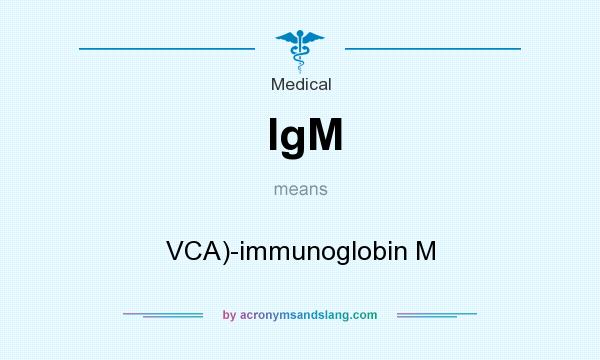 What does IgM mean? It stands for VCA)-immunoglobin M