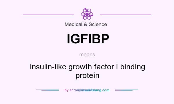 What does IGFIBP mean? It stands for insulin-like growth factor I binding protein