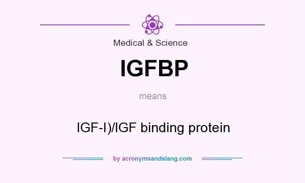 What does IGFBP mean? It stands for IGF-I)/IGF binding protein