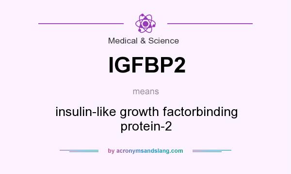 What does IGFBP2 mean? It stands for insulin-like growth factorbinding protein-2