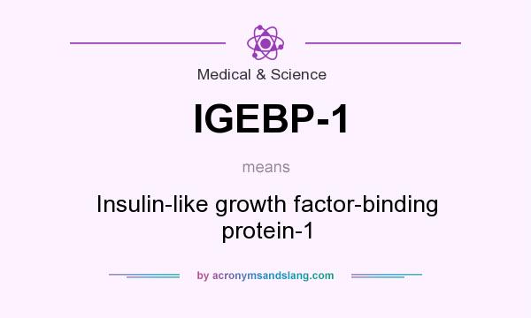 What does IGEBP-1 mean? It stands for Insulin-like growth factor-binding protein-1