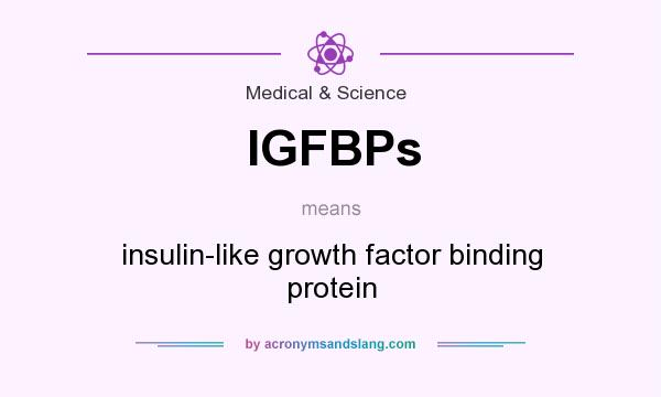 What does IGFBPs mean? It stands for insulin-like growth factor binding protein