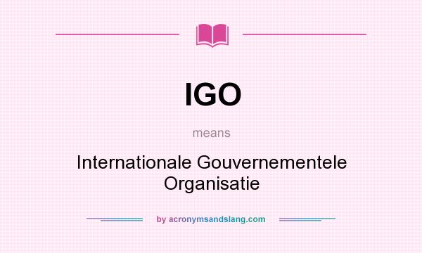 What does IGO mean? It stands for Internationale Gouvernementele Organisatie