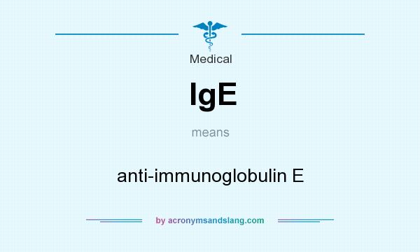 What does IgE mean? It stands for anti-immunoglobulin E