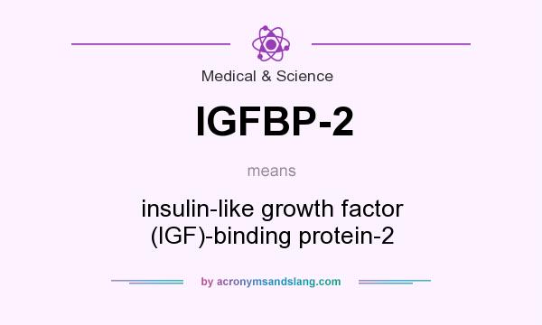 What does IGFBP-2 mean? It stands for insulin-like growth factor (IGF)-binding protein-2