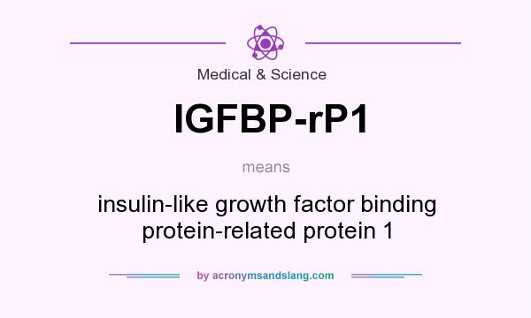 What does IGFBP-rP1 mean? It stands for insulin-like growth factor binding protein-related protein 1