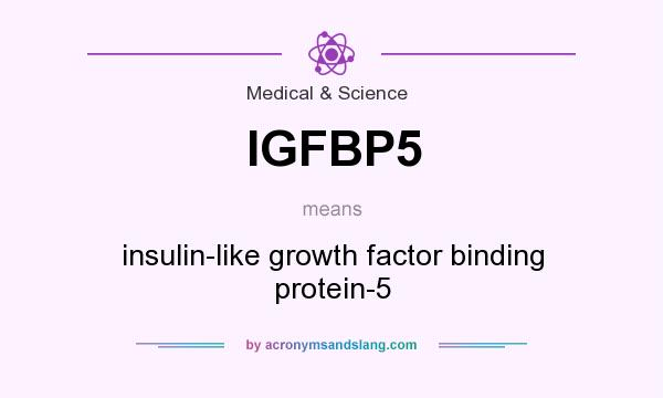 What does IGFBP5 mean? It stands for insulin-like growth factor binding protein-5