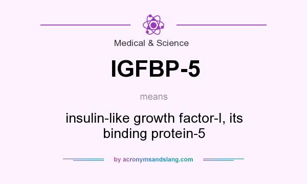 What does IGFBP-5 mean? It stands for insulin-like growth factor-I, its binding protein-5