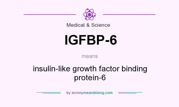 What does IGFBP-6 mean? It stands for insulin-like growth factor binding protein-6