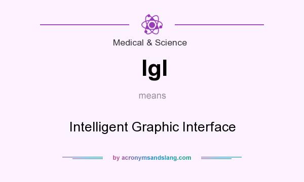 What does IgI mean? It stands for Intelligent Graphic Interface