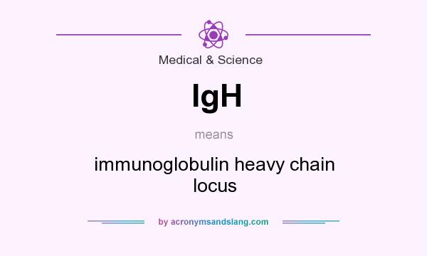 What does IgH mean? It stands for immunoglobulin heavy chain locus