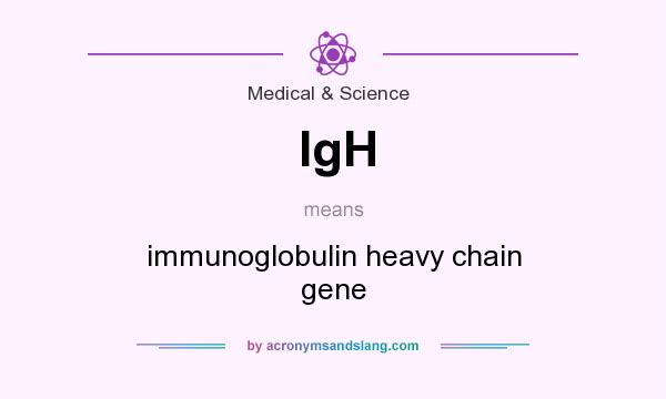 What does IgH mean? It stands for immunoglobulin heavy chain gene