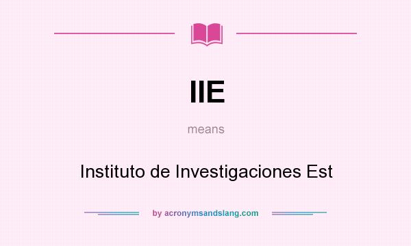 What does IIE mean? It stands for Instituto de Investigaciones Est
