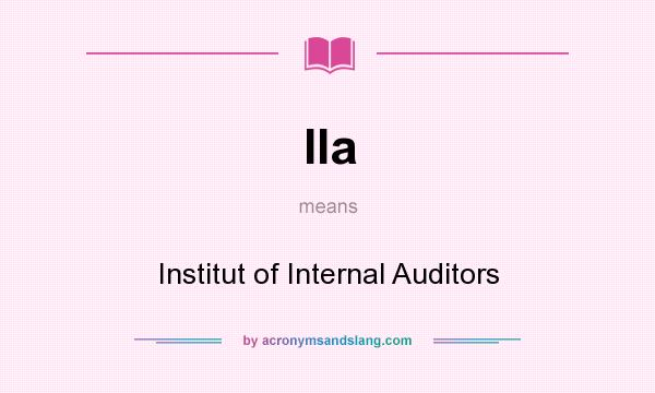 What does IIa mean? It stands for Institut of Internal Auditors
