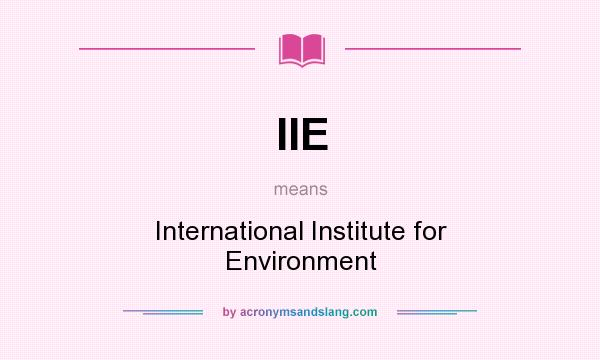 What does IIE mean? It stands for International Institute for Environment