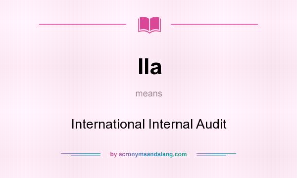 What does IIa mean? It stands for International Internal Audit