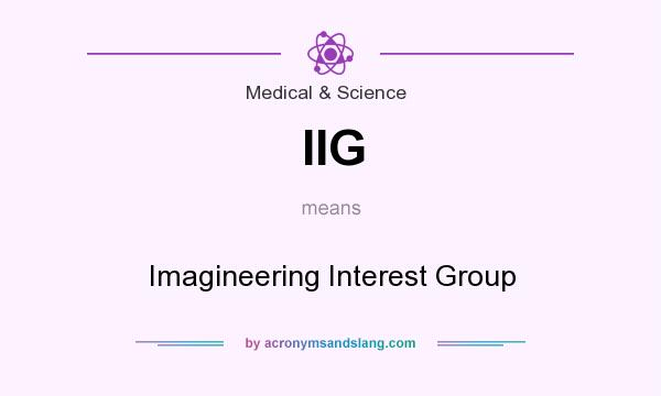 What does IIG mean? It stands for Imagineering Interest Group