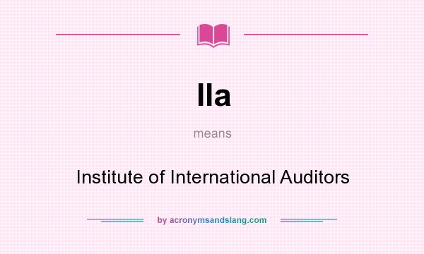 What does IIa mean? It stands for Institute of International Auditors