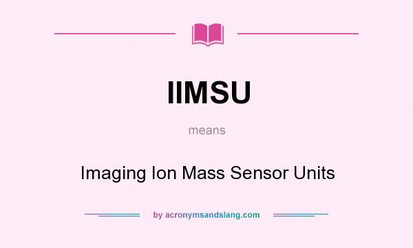 What does IIMSU mean? It stands for Imaging Ion Mass Sensor Units