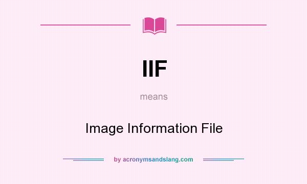 What does IIF mean? It stands for Image Information File