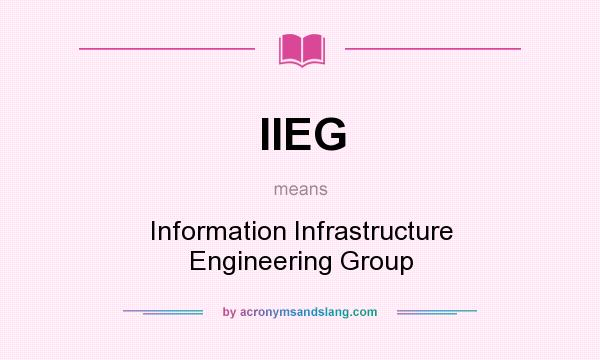What does IIEG mean? It stands for Information Infrastructure Engineering Group
