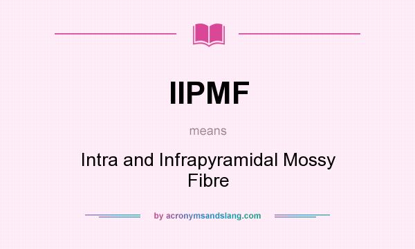 What does IIPMF mean? It stands for Intra and Infrapyramidal Mossy Fibre