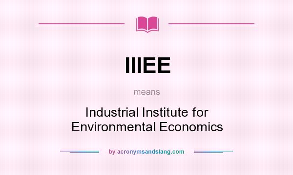 What does IIIEE mean? It stands for Industrial Institute for Environmental Economics