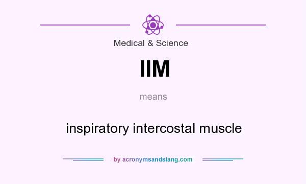 What does IIM mean? It stands for inspiratory intercostal muscle