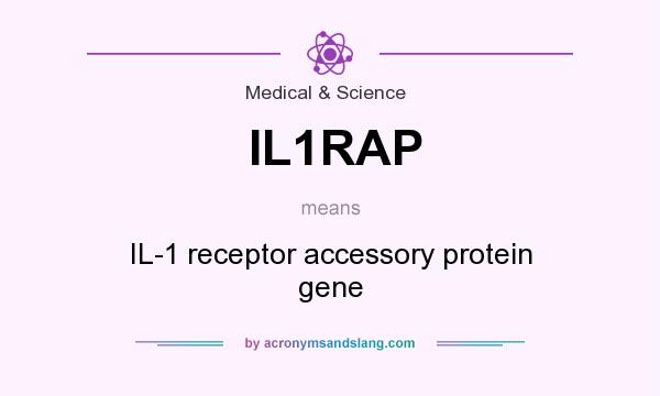 What does IL1RAP mean? It stands for IL-1 receptor accessory protein gene