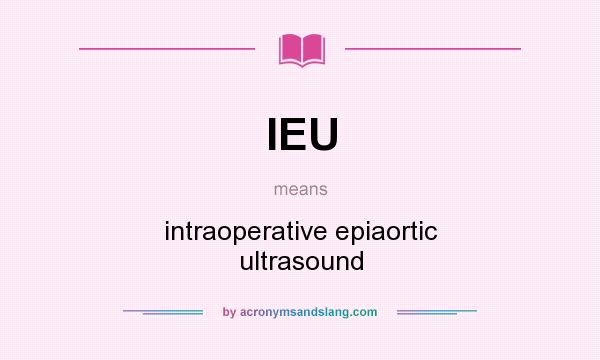 What does IEU mean? It stands for intraoperative epiaortic ultrasound