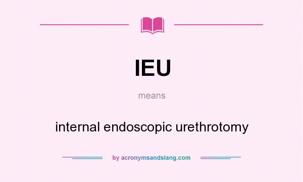 What does IEU mean? It stands for internal endoscopic urethrotomy