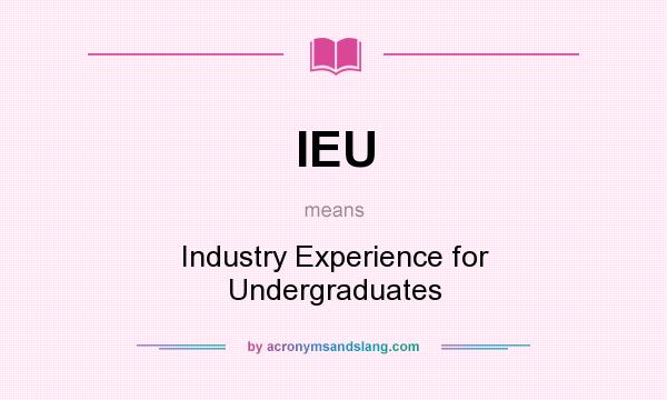 What does IEU mean? It stands for Industry Experience for Undergraduates