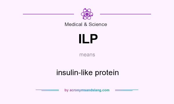 What does ILP mean? It stands for insulin-like protein